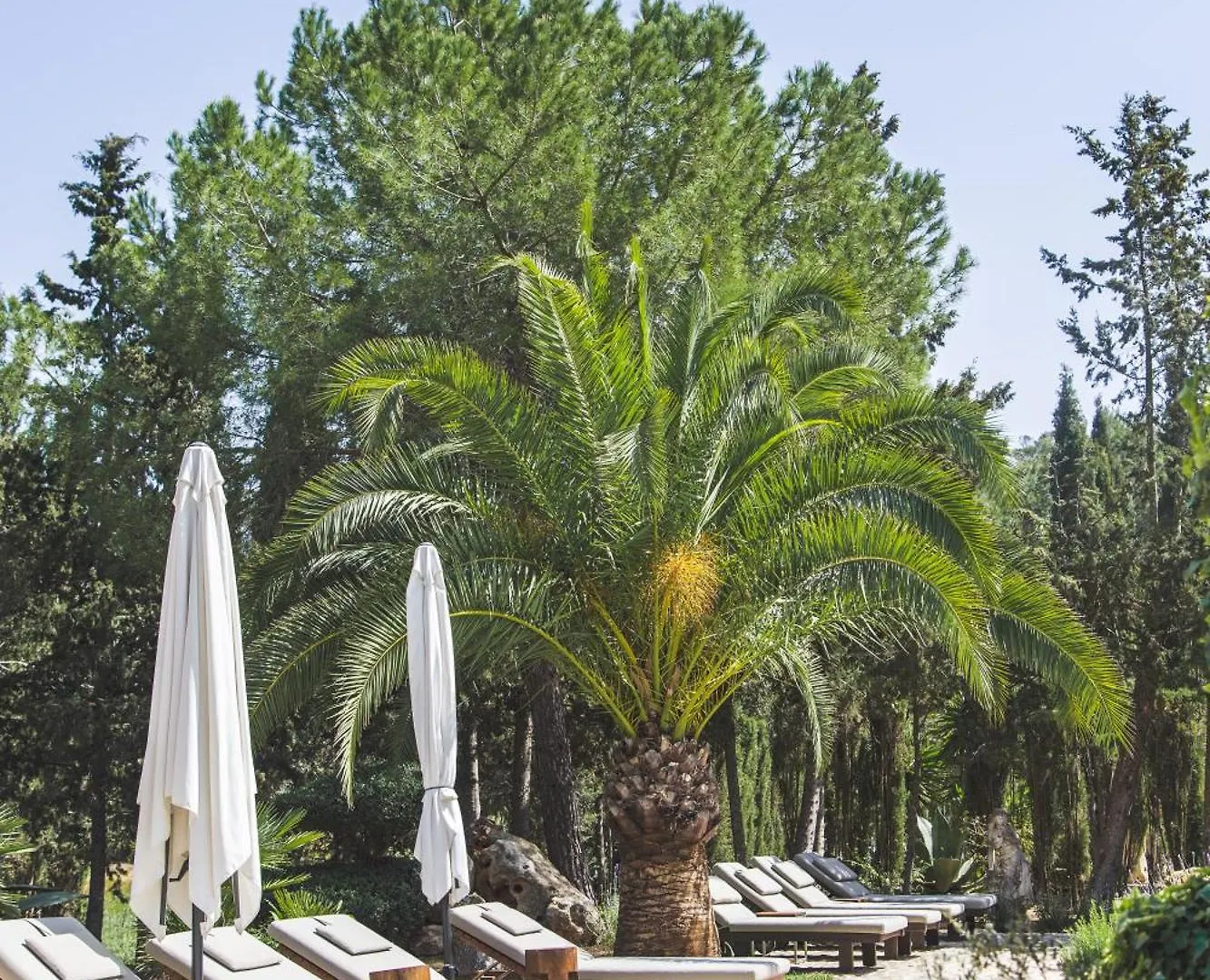 Agroturismo Son Foguero - Adults Only Maria De La Salut Spain